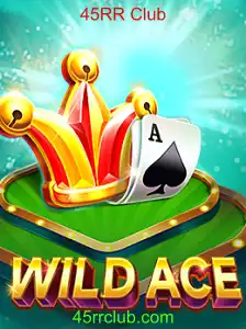 Explorando o Fascinante Mundo do WildAce e o Exclusivo 45RR Club